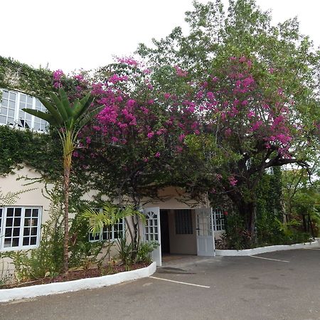 Mangos Jamaica Adults Only Ξενοδοχείο Falmouth Εξωτερικό φωτογραφία