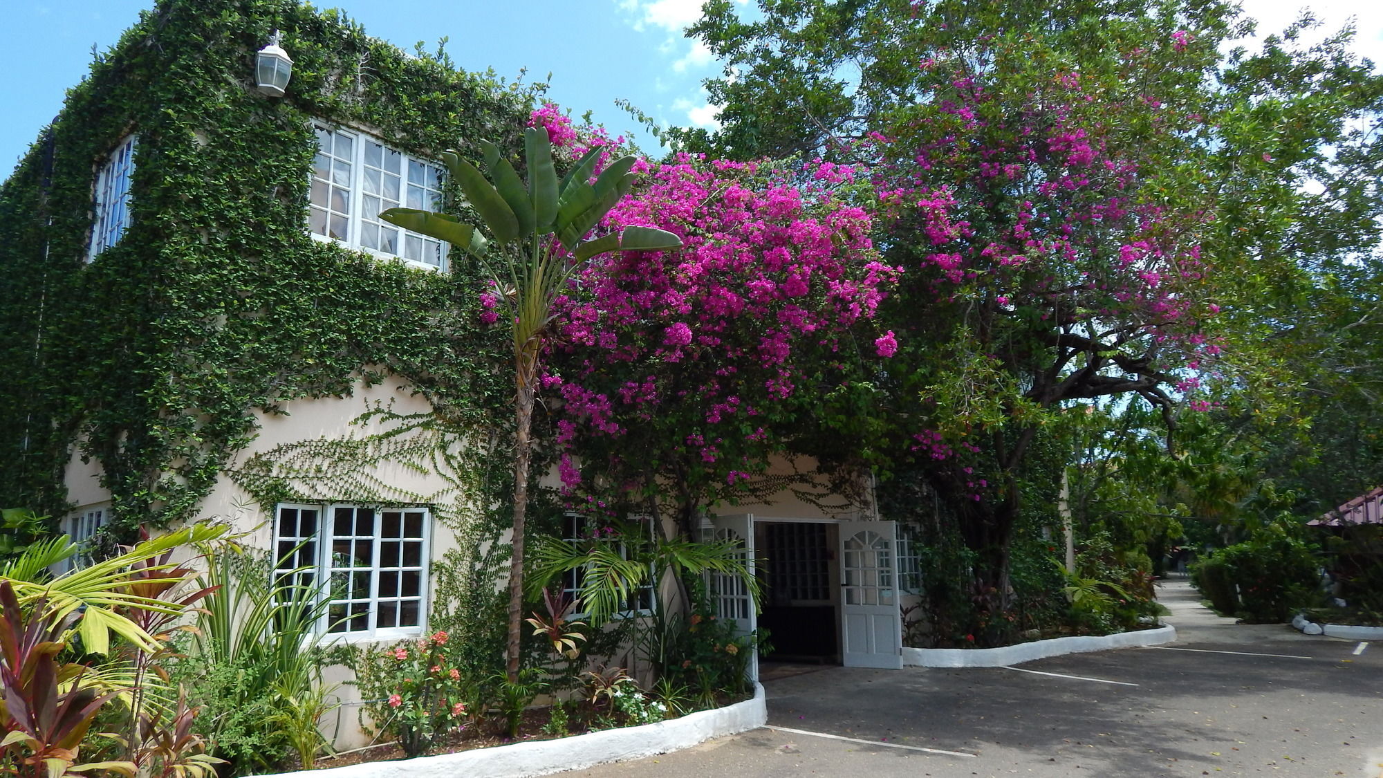 Mangos Jamaica Adults Only Ξενοδοχείο Falmouth Εξωτερικό φωτογραφία