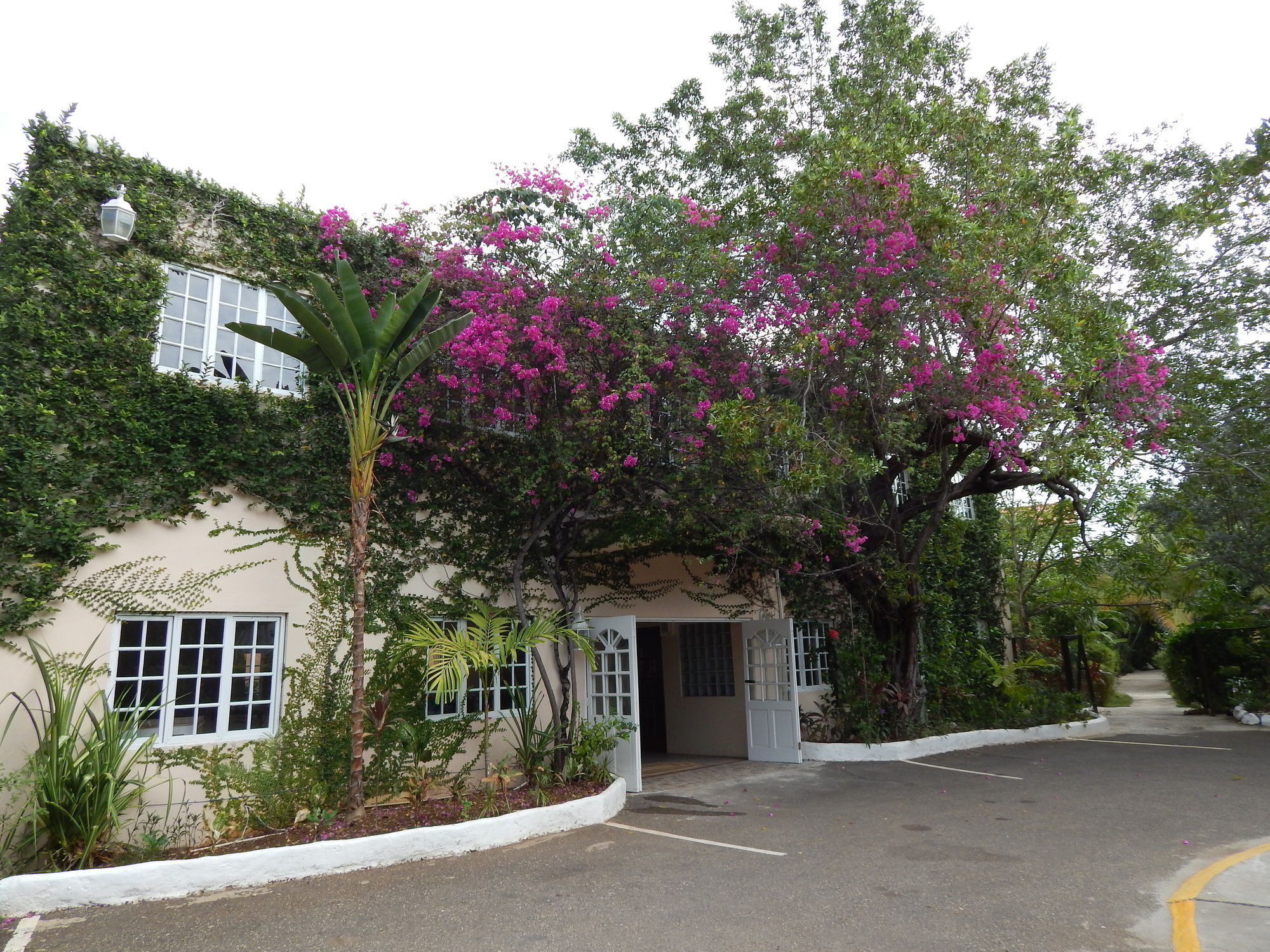 Mangos Jamaica Adults Only Ξενοδοχείο Falmouth Εξωτερικό φωτογραφία