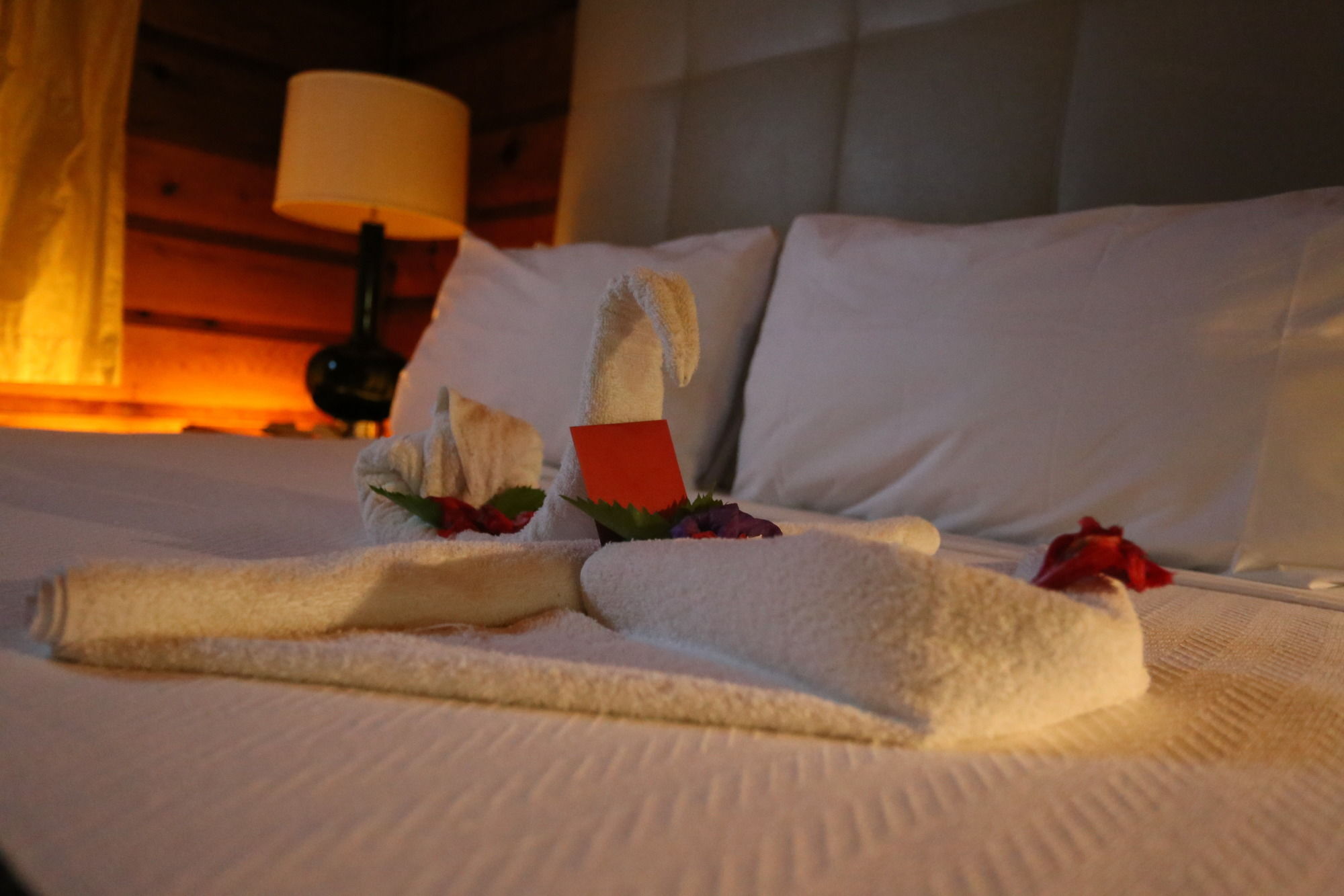 Mangos Jamaica Adults Only Ξενοδοχείο Falmouth Εξωτερικό φωτογραφία
